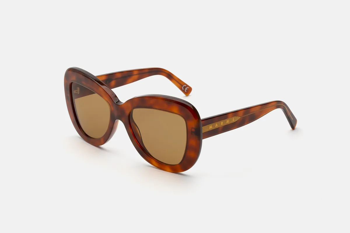 Elephant Island Sunglasses - HAVANA