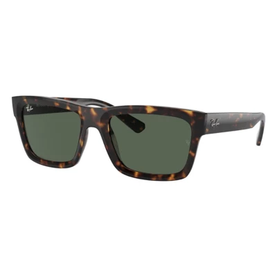 Ray-Ban Warren Sunglasses