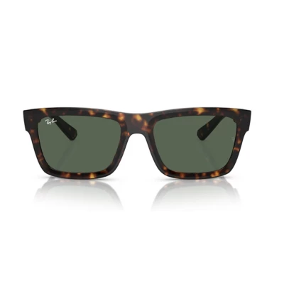 Ray-Ban Warren Sunglasses