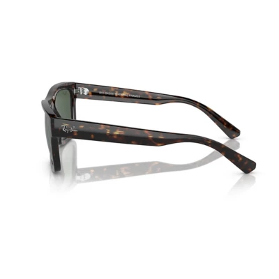 Ray-Ban Warren Sunglasses