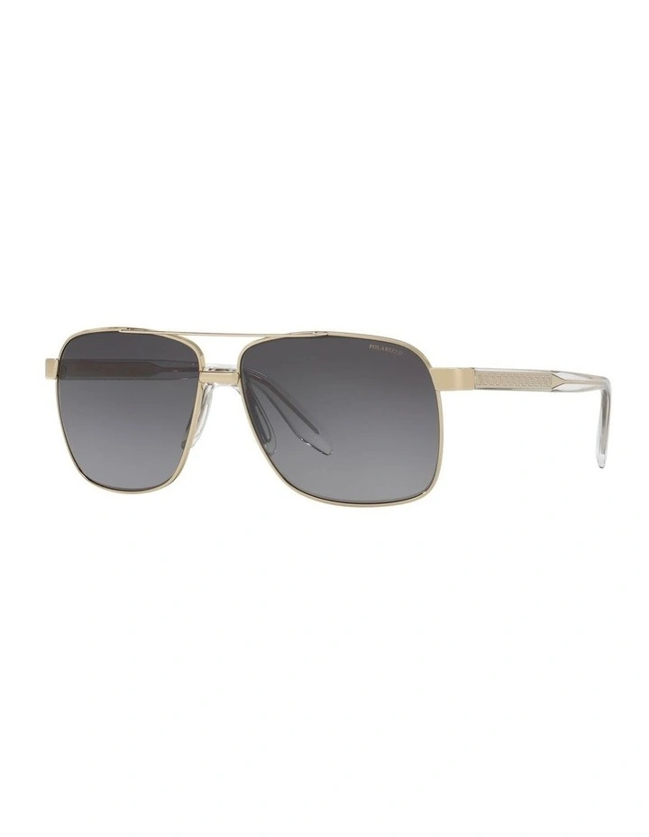 VE2174 Gold Polarised Sunglasses